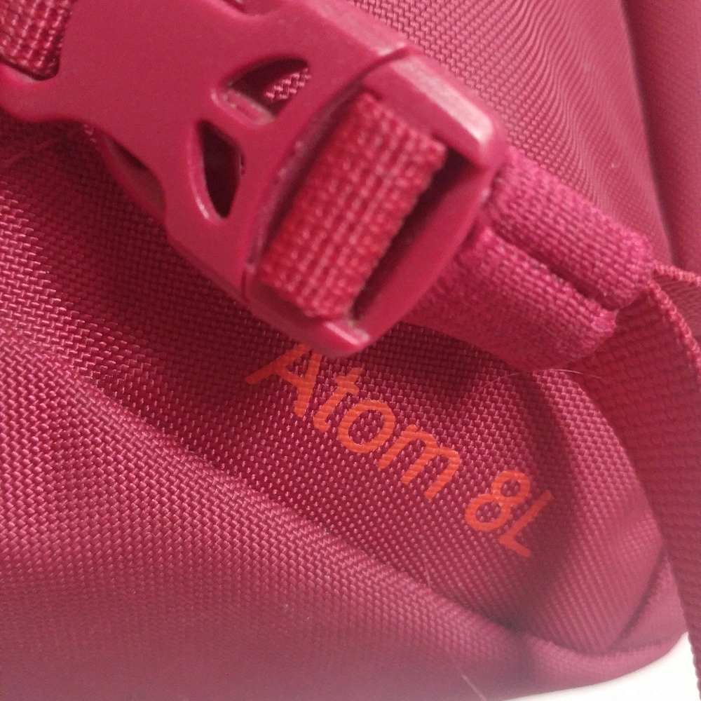 Patagonia Atom Sling 8L